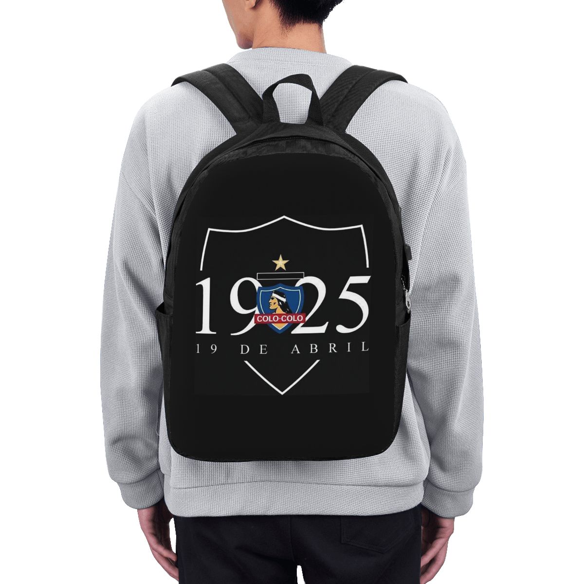 CSD COLO COLO Backpack Travel  - Laptop Bag 评论和价格